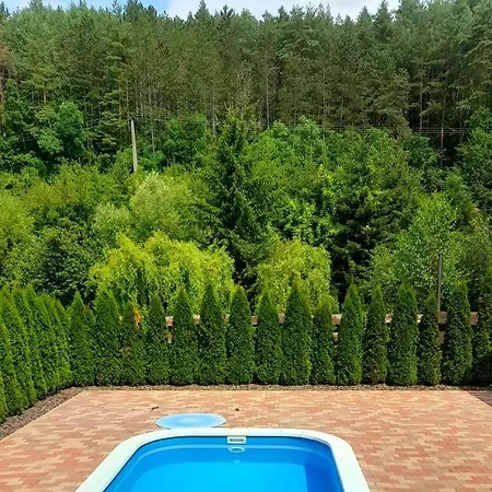 Forest Luxury